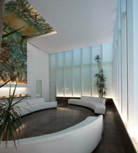 گیاهان در معماری داخلی | طراحان سبز | مدرن