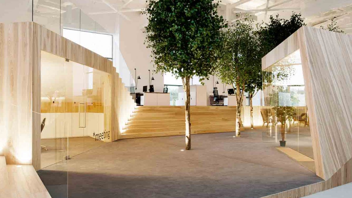 گیاهان در معماری داخلی | طراحان سبز | مینیمال