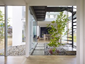 گیاهان در معماری داخلی | طراحان سبز | قاب طبیعت