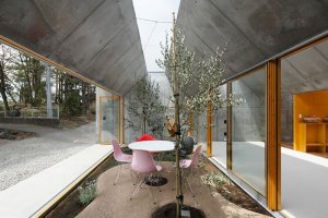 گیاهان در معماری داخلی | طراحان سبز | ارتباط فضای بیرون و محیط داخلی